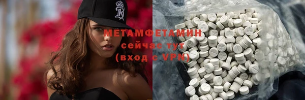 прущие грибы Осташков