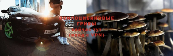 амф Пестово