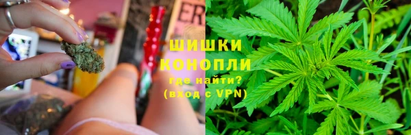 прущие грибы Осташков