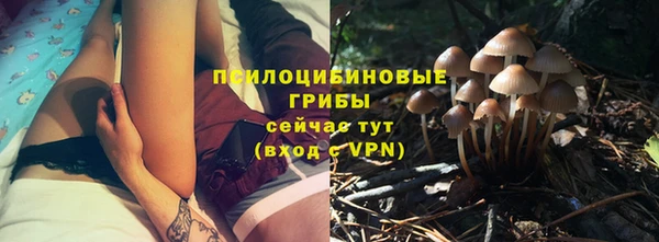 бошки Осинники