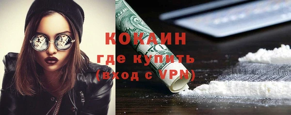 амф Пестово